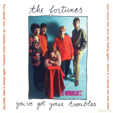 Fortunes: You'Ve Gotyour Troubles [CD]