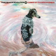 Pure Reason Revolution: Coming Up To Consciousness [CD]