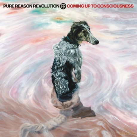 Pure Reason Revolution: Coming Up To Consciousness [Winyl]