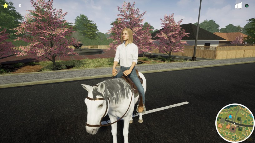 My Life: Pet Vet [GRA SWITCH]