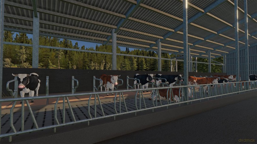 Real Farm Premium Edition [GRA PS5]