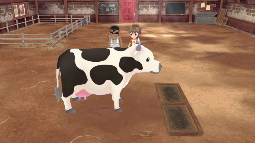 Story of Seasons: A Wonderful Life (Limited) [GRA SWITCH]