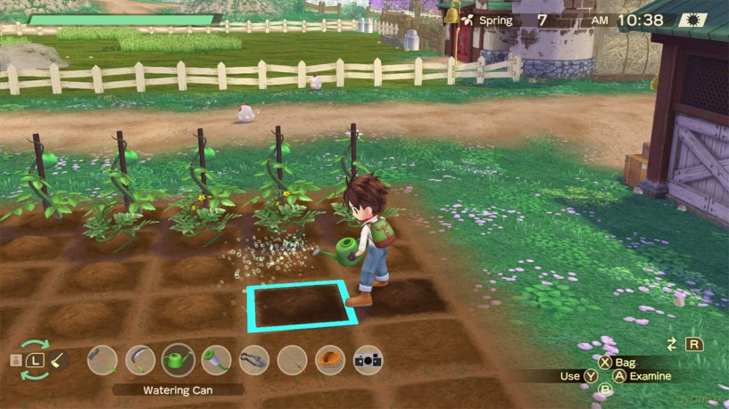 Story of Seasons: A Wonderful Life (Limited) [GRA SWITCH]