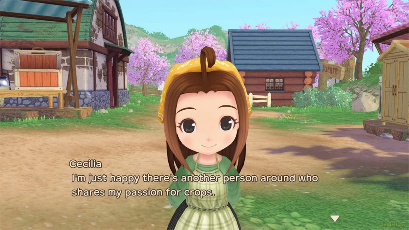 Story of Seasons: A Wonderful Life (Limited) [GRA SWITCH]