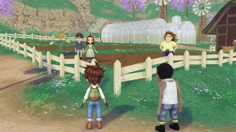Story of Seasons: A Wonderful Life (Limited) [GRA SWITCH]