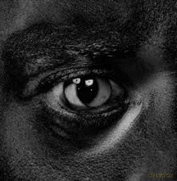 Wiley: Evolve Or Be Extinct [CD]