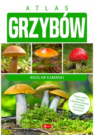 Atlas grzybów [KSIĄŻKA]