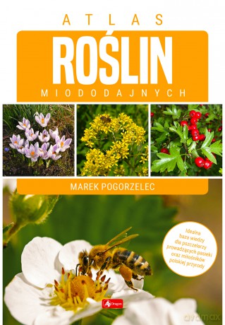 Atlas roślin miododajnych - Marek Pogorzelec [KSIĄŻKA]