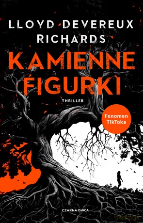 Kamienne figurki - Lloyd Devereux Richards [KSIĄŻKA]