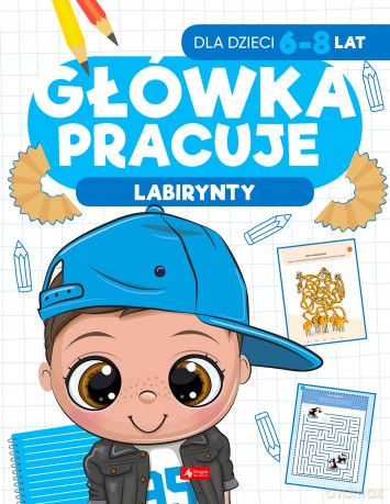 Labirynty. Główka pracuje - Iwona Baturo [KSIĄŻKA]