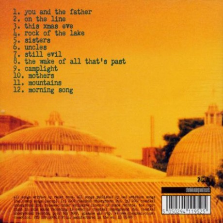 Radar Bros: And The Surrounding Mountains [CD]