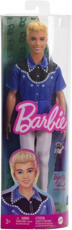 Barbie Fashionistas. Ken Stylowy HRH25