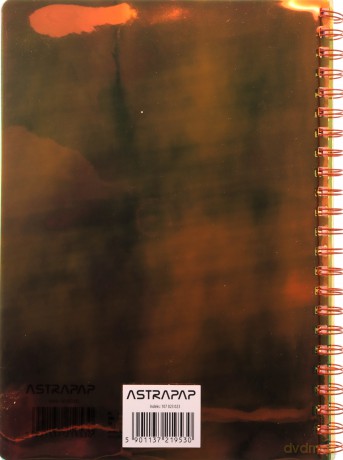 Kołozeszyt A4/100K kratka Holographic