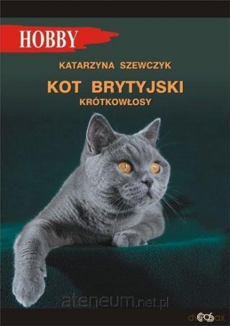 Kot brytyjski krótkowłosy - Katarzyna Szewczyk [KSIĄŻKA]