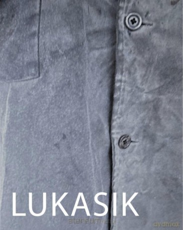 Lukasik. Inwentaryzacja - Andrzej Biernacki, Anna Pacyniak [KSIĄŻKA]