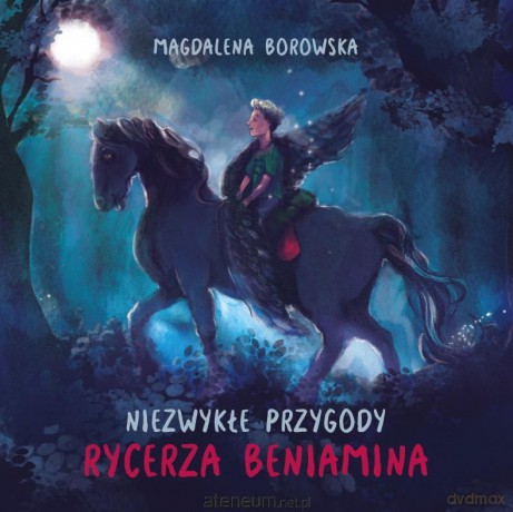 Niezwykłe przygody rycerza Beniamina - Magdalena Borowska [KSIĄŻKA]