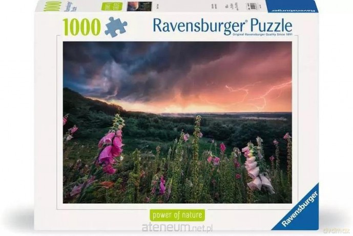 REVENSBURGER 1000 el. Nadchodzi burza [PUZZLE]