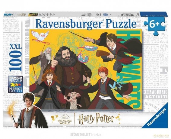 REVENSBURGER 2D 100 el. Harry Potter - Młodzi Czarodzieje [PUZZLE]
