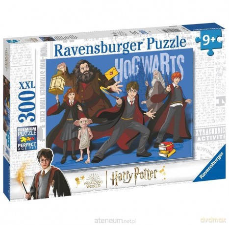 REVENSBURGER 2D 300 el. Magiczna Brygada [PUZZLE]