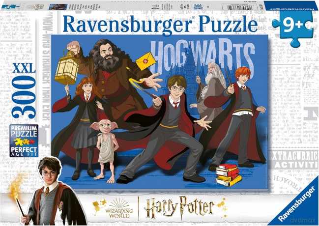 REVENSBURGER 2D 300 el. Magiczna Brygada [PUZZLE]