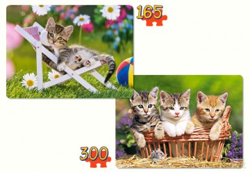 CASTOR 2w1 70+120 Kotki w ogrodzie 021116 [PUZZLE]