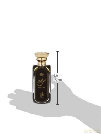 AL WATANIAH House Of Oud - Luxuriöses Herrenparfüm, Eau de Parfum 100 ml, exotischer und langanhaltender Duft.