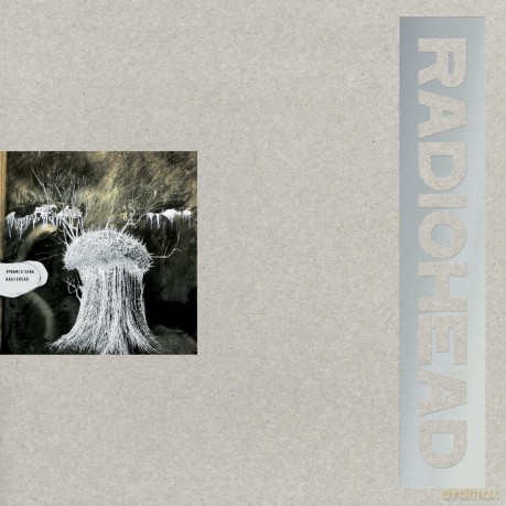 Radiohead: Pyramid Song Vol. 1 (Limited Collectors [Winyl]