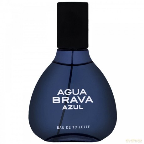 Antonio Puig Eau De Toilette Mann, 100 ml