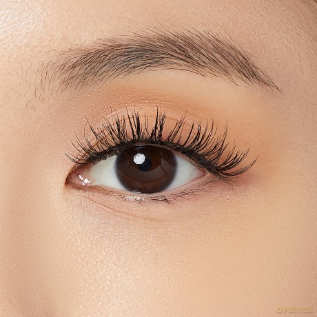 Artificial eyelashes The New Natural - Variant: 02 Silver Ring
