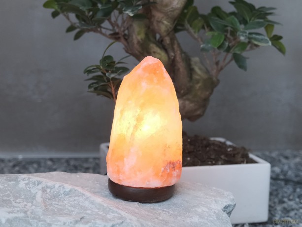 BEPER P201UTP100 Salzlampe Naturform, Holzsockel, Reduziert Stress, Reinigt die Luft