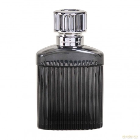 Black Alpha Lampe Berger