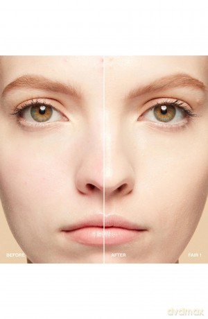 Bobbi Brown Feuchtigkeitsspendende Hautfarbe, angereichert mit Vitaminen SPF 15 mit Hyaluronsäure Fiera 1