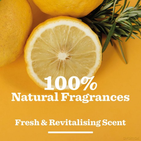 BULLDOG - Bodycare for Men | Lemon and Bergamotte Roll On Natural Deodorant | 24h Geruchsschutz | 75ml
