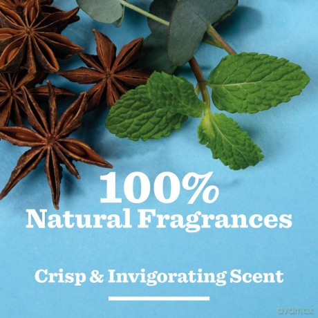Bulldog Skincare Peppermint and Eucalyptus Roll On Natural Deodorant 75ml