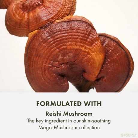 Cleansing skin cream Dr. Andrew Weil Mega-Mushroom Skin Relief Face Clean ser 150 ml