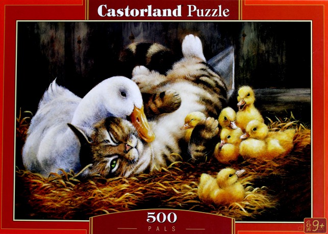 Castor 500 Kumple 51786 [PUZZLE]