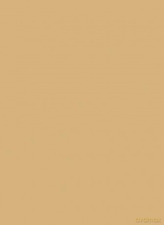Cream corrector All Hours Precise Angles Concealer 15 ml - Shade: LW1