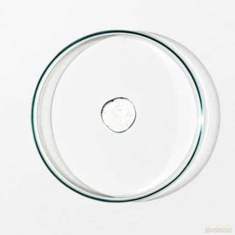 Grown Alchemist Blemish Treatment Gel: Behandlungsgel gegen Hautunreinheiten und Ausbrüche - Salicylsäuren peelen, gleichen aus und beseitigen Unreinheiten - 15mL