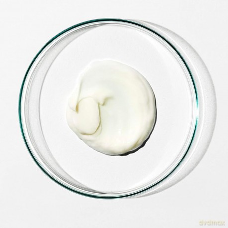 Grown Alchemist Nourishing Conditioner I 200ml I Nährende Pflegespülung I Damen und Herren I vegan I bio zertifiziert