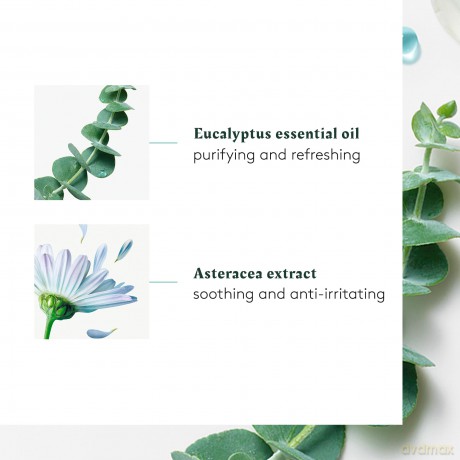 HEAD SPA ASTERA soothing concentrate 50 ml