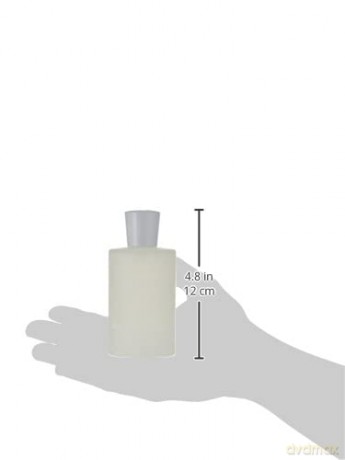 Juliette has a gun Anyway femme/women, Eau de Parfum Spray, 1er Pack (1 x 100 ml)
