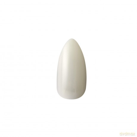Kiss Ksn06C Acrylic Natural Nails 06 1er Pack (1 x 40 g)