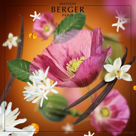 Lampe Berger Samt aus dem Orient 500 ml