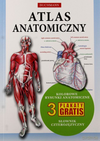 Atlas Anatomiczny [KSIĄŻKA]
