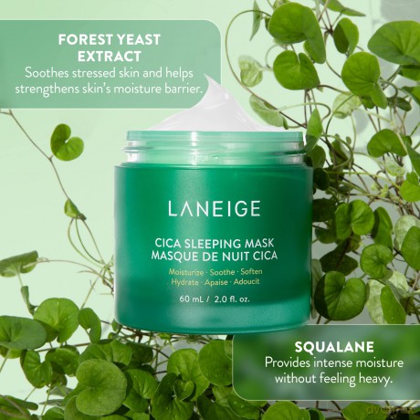 Laneige CICA Schlafmaske, 60 ml
