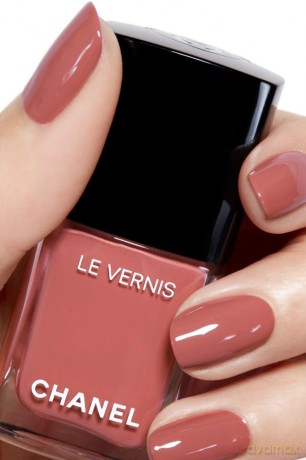 Le Vernis Nail Colour 117 PASSE-MURAILLE