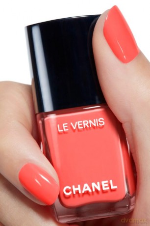 Le Vernis Nail Colour 121 DAME PREMIUM