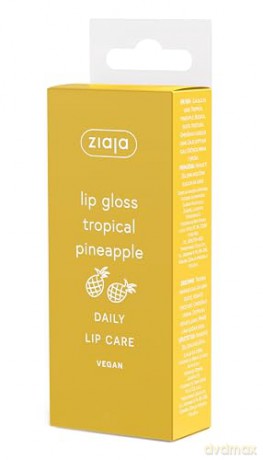 Lippenbalsam mit Lipgloss Tropical Pineapple