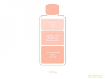 Maison Berger Liliflora - Purpurfarbene Magnolie 0.5 L Nachfüllflasche