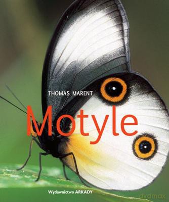 Motyle - Thomas Marent [KSIĄŻKA]